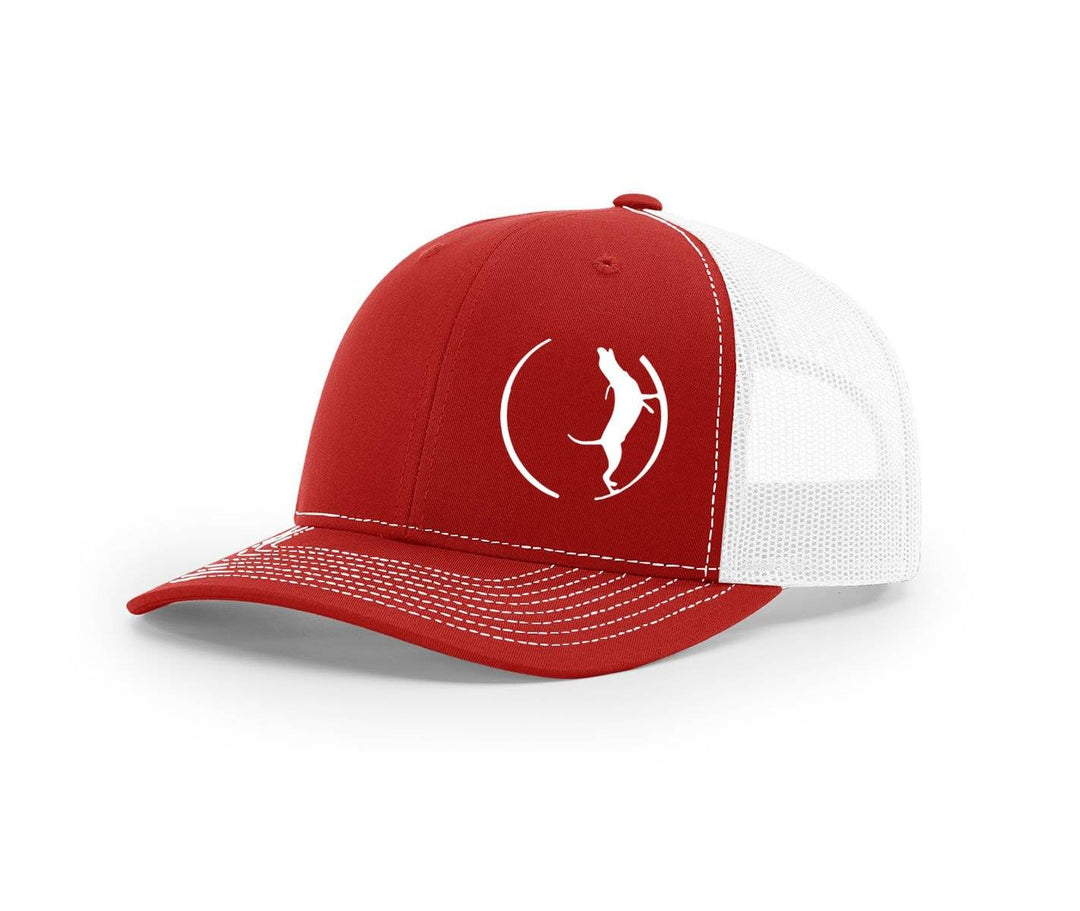 Treeing Dog Southern Houndsman Snapback Hat - Swamp Cracker Outdoor Apparel